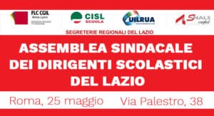 assemblea ds